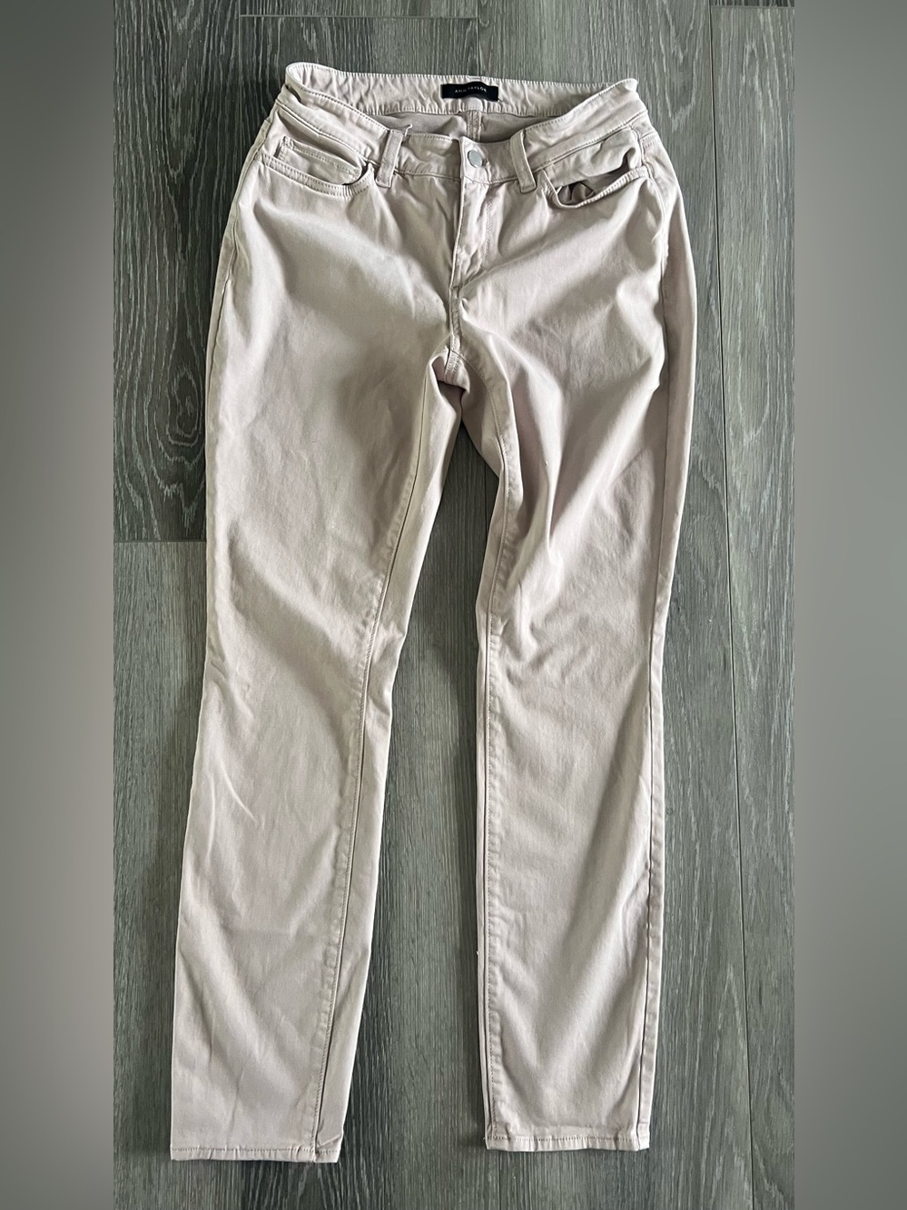 Ann Taylor Women's Chinos in Light Taupe